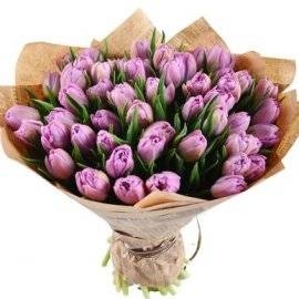 Lilac Tulips (35 Tulips)