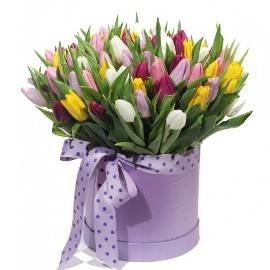 Colorful Wonderland (55 Tulips)