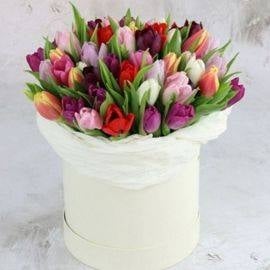 Multi-Colored Tulips (35 Tulips)