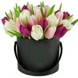 Tulip Delight (25 Tulips)