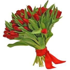 35 Red Shining Tulips (35 Tulips)