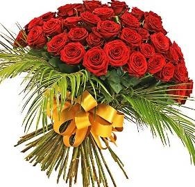 Red Regal Roses (55 Roses)