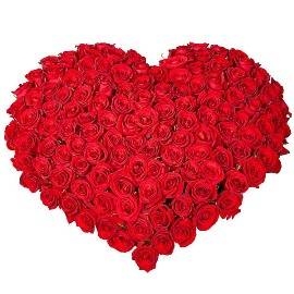 Love You Forever (101 Roses)