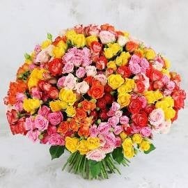A burst of color (77 Stems)