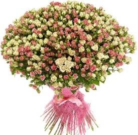 Explosion of Feelings (101 Stems)
