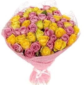 The Harmony of Roses (55 Roses)