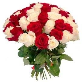Red & White Roses