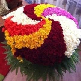 Colourful Palette