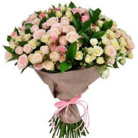 Creamy White (71 Stems)