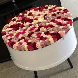 Flames of Nature (301 Roses)