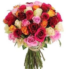 Mixed Roses Bouquet (55 Roses)