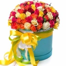 Bright Color Combination