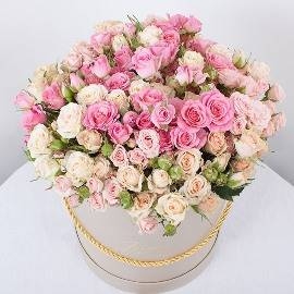 Elegantly Fragrant