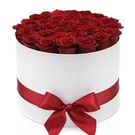 So Simple and Elegant (35 Roses)