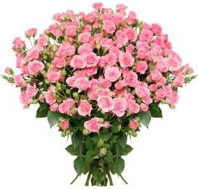 Pink Enchantement (29 Stems)