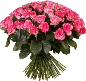 51 Adorable Pink Roses (51 Roses)