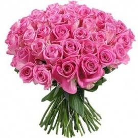 Awesome Pink Roses (77 Roses)