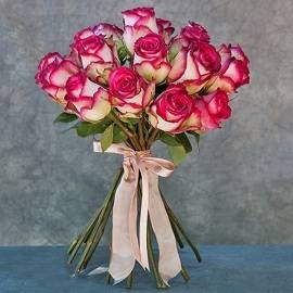 Furious Roses (19 Roses)