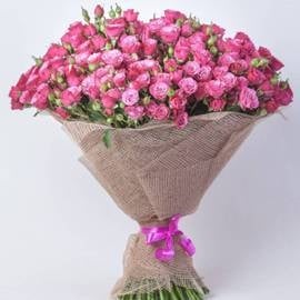 Pink Candy (55 Stems)