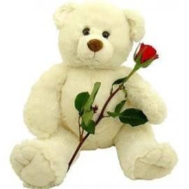 A Red Rose & Teddy Bear (Medium - 55 cm)