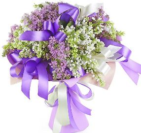 White And Violet Illusion
