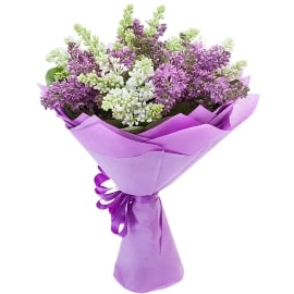 Isle In Purple