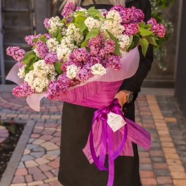Lilac Grace