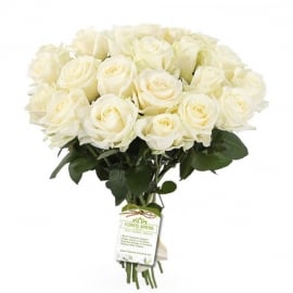 Bouquet Warm Memories