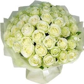 51 Extra-large White Roses (51 Roses)