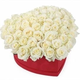 White Heart Roses Box (55 Roses)