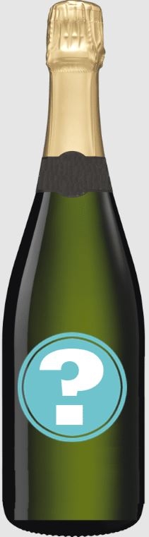 Multi award winning Champagne!