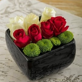 Fashionable