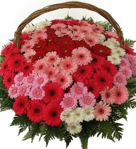 Big Bright Basket Of 101 Blooms