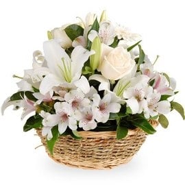 Purity
