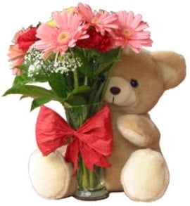 Soft Surprise