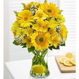 Sunshine Beauty