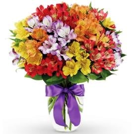 Celebration With 35 Alstromeria (No Vase)