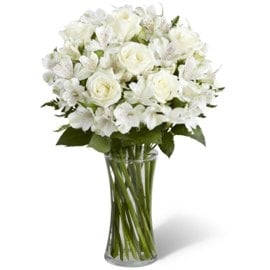 White Elegance (No Vase)