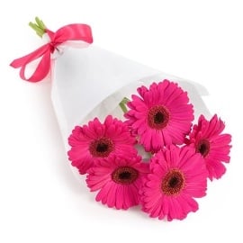 Happy Pink Gerberas (5 Gerberas)
