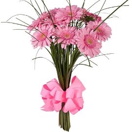 Jane Bouquet (11 Gerberas)