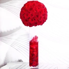 Elegant In Red