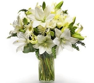 Elegance (With Vase)