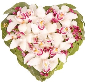 Romance Of Magic Orchids