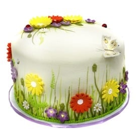 Happy Cake (15 persons / diameter 25 cm)
