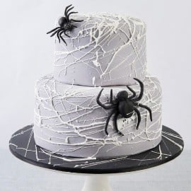 Spider'S Life Cake (30 persons)