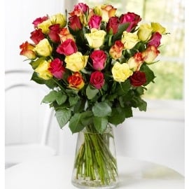 The Colors Of Affection (25 Roses)