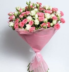 Colours Splendour (25 Stems)