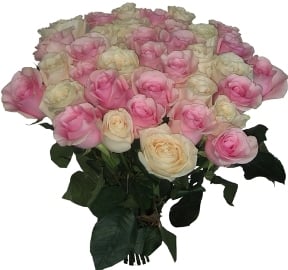 25 Pink And White Roses (25 Roses)