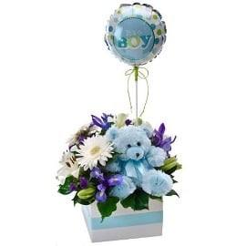 Congratulations In Blue