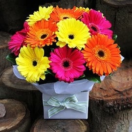 Box Of Sunshine